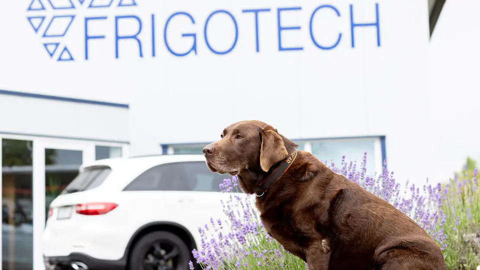 frigotech ausbildungsbetrieb saarland arbeitgeber