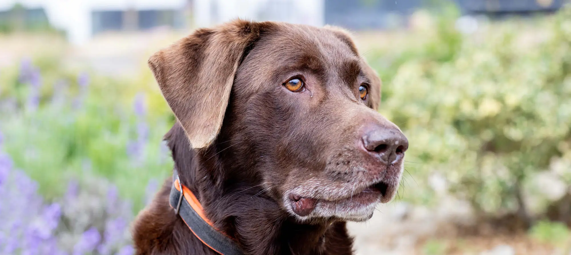 frigotech kaelte klimatechnik buerohund